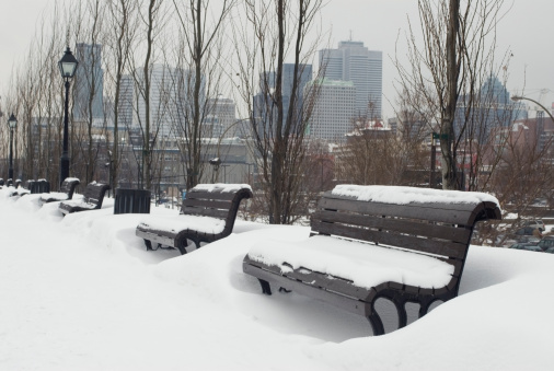 benchs in winter