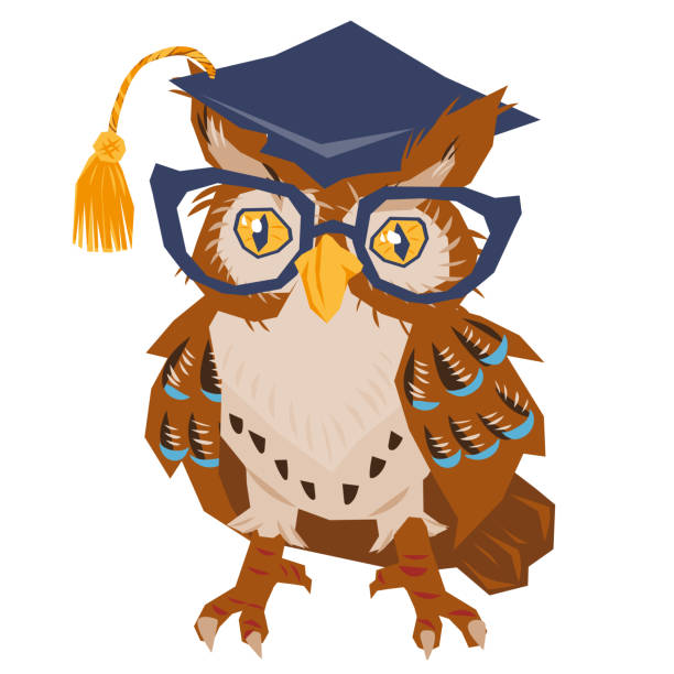 istock Wise owl in graduation cap and glasses cartoon character flat vector isolated. 1490662430