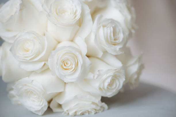 Bouquet of beautiful white roses