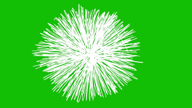 Animated draw white Shapes. Wave Shape. Linear icon. Looped video. Vector illustration on green background. Pop-up line animation element. Flash FX Elements And Transition Great Motion Graphics.