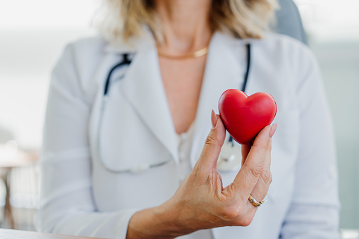 Portrait of female doctor holding cardiologist heart