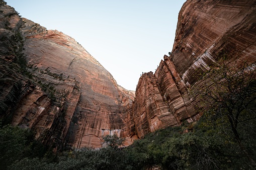 A landscape of rock formations in Zion National Park, Utah