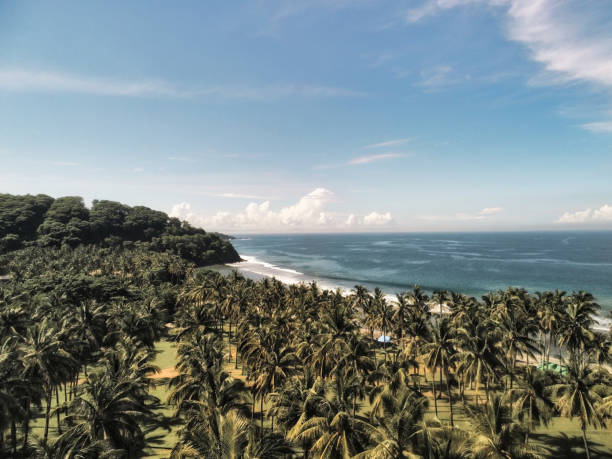 istock Beauty of the beach 1490666317