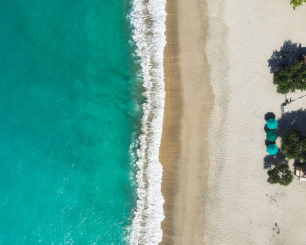 istock Beauty of the beach 1490666410