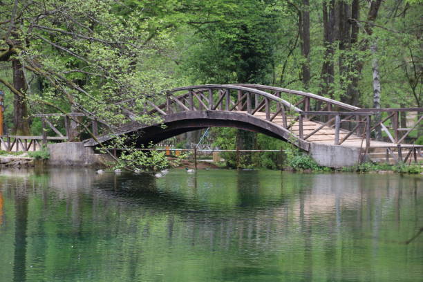 istock Lush green trees, creek and wooden bridge in spring 1490669534