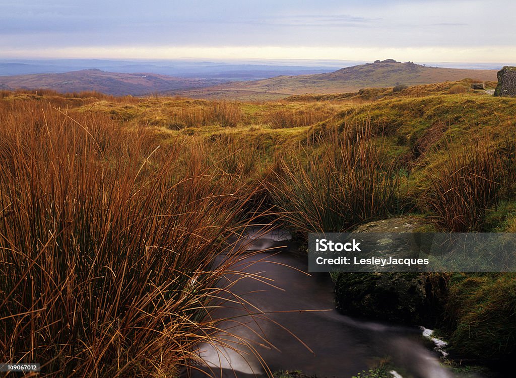 Dartmoor, UK, typical moorland scene A view across the high moor blanket bog of Dartmoor, with typical landscape features, including running stream, rushes and granite tor on the horizon Peat Stock Photo