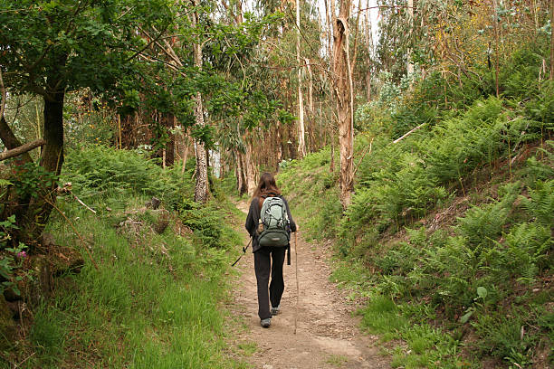 istock Woman tourist walking in the forest 149067104