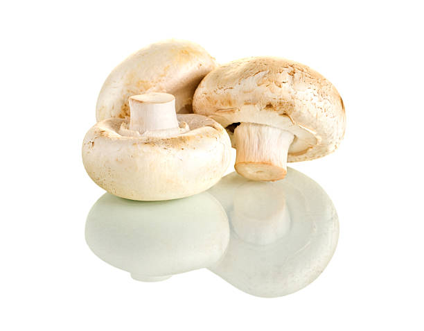 Fresh mushrooms with reflection on white stock photo