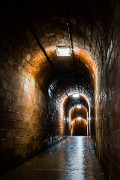 istock The Smugglers Tunnel At The Ness, Devon 1490672936