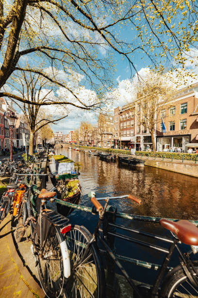 istock Bicycles parked near Spiegelgracht in Amsterdam, Netherlands 1490675758