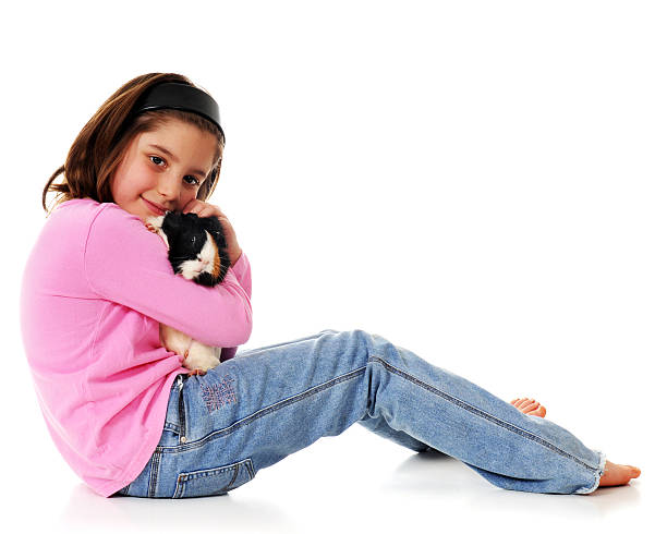 ギニーピッグファン - guinea pig pets child stroking ストックフォトと画像