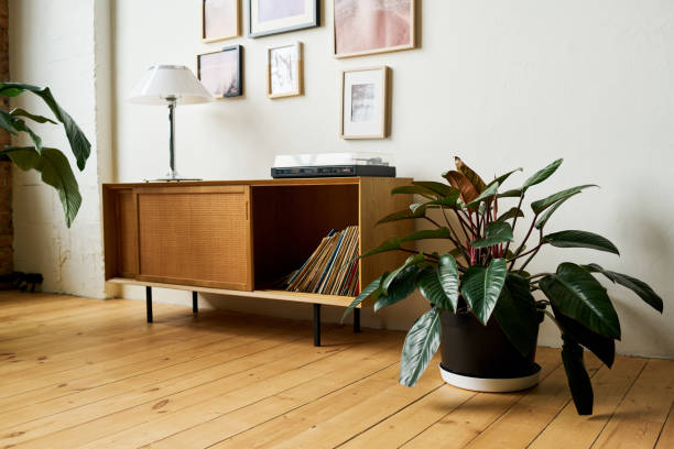 istock Part of spacious room or office with green plants and console table with drawer 1490677231