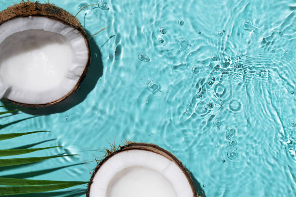 istock Summer background with coconuts on water background with water splashes. 1490677434