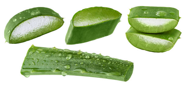 istock Fresh Aloe vera slice with aloe vera gel drops isolated on white background. 1490677655
