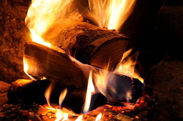 Burning logs stock photo