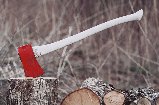 Red and white axe and chopping block log