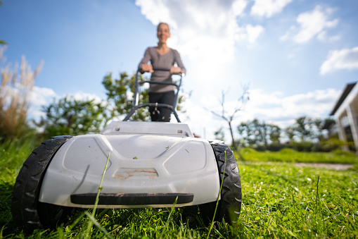 mature adult woman mowing grass in her garden with mechanical rotary push mower on sunny day in spring, low perspectiv, shallow focus on mower, person blurred