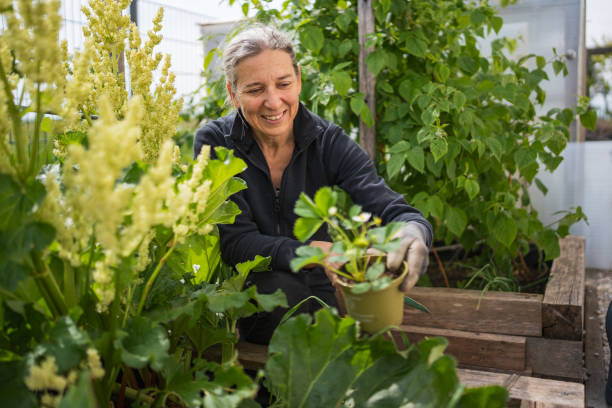 istock woman in between her different plants in garden 1490681507