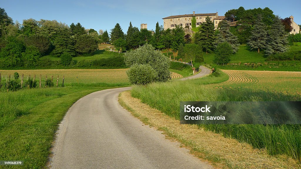 Flexión calle que conduce a un castillo - Foto de stock de Agricultura libre de derechos