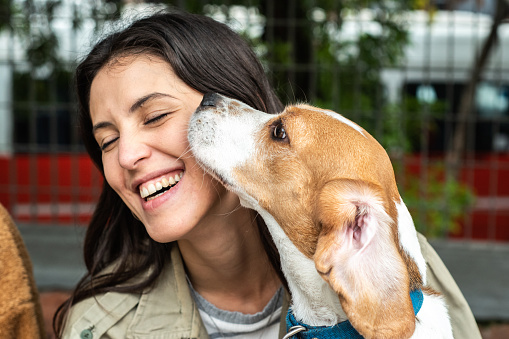 Dog licking its owner outdoors