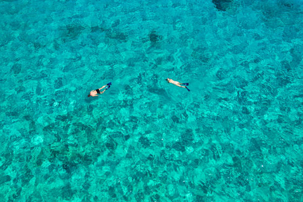 istock Clients snorkeling at the sunset beach, Mahe Seychelles 1490687380