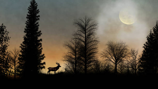 Deer in the Forest with Birds Silhouette features a forest silhouette with a deer eating and a full moon and clouds in the sky.
