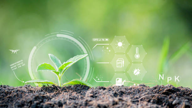 istock Agricultural growth concept Check the soil and plants. Including the use of artificial intelligence agricultural technology in technology green background with icons 1490689574