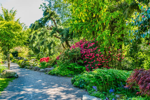 istock Blooming Flower Garden 2 1490691505
