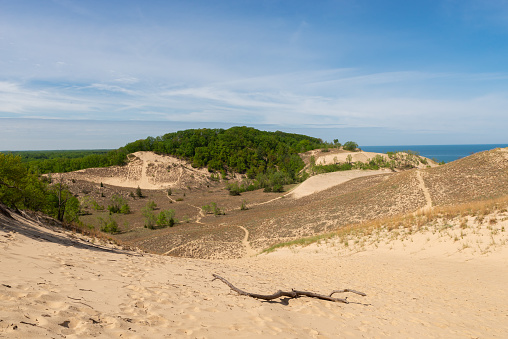 Sand dunes and Spring landscape on a sunny morning.  Warren Dunes State Park, Michigan, USA.