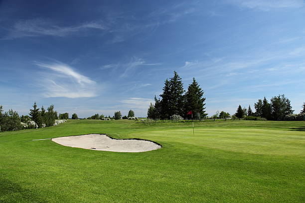 istock green of a beautiful golf course 149069459