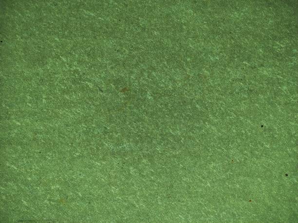 istock Abstract texture of fresh green red grass surface for background design fill text 1490695066