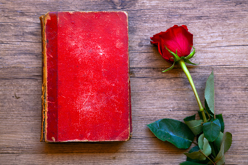 Red book and rose flower