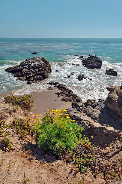istock Rocky Beach in Malibu California 149070226