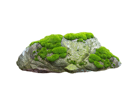 stone covered with moss isolated on white background