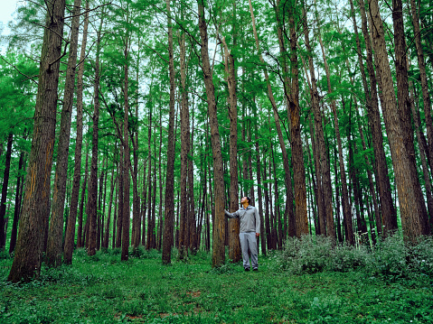 A traveler in a light jacket walks in the dense forest