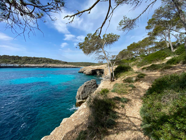 istock Mondrago Nature Park, Mallorca, Santanyi, Spain 1490705293