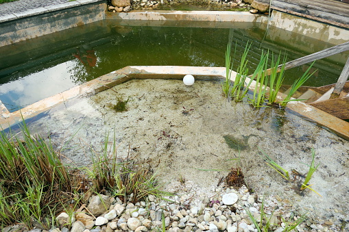 Every few years, a swimming pond has to be treated for sediment and pollution.