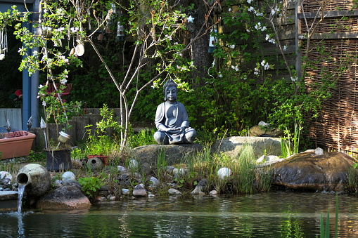 A buddha statue photographed in a garden