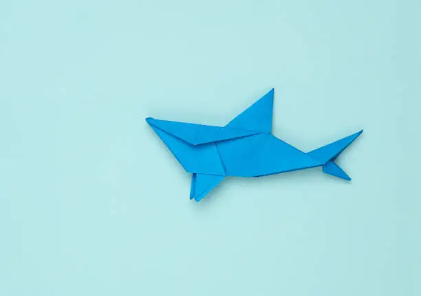 Photo of Origami paper shark on blue background