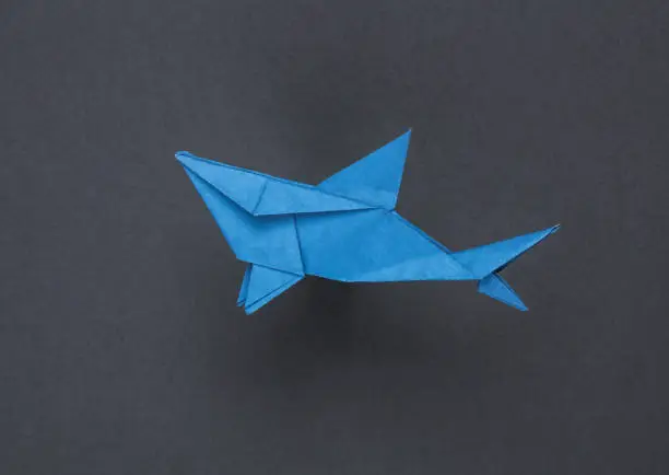 Photo of Origami shark on a gray background