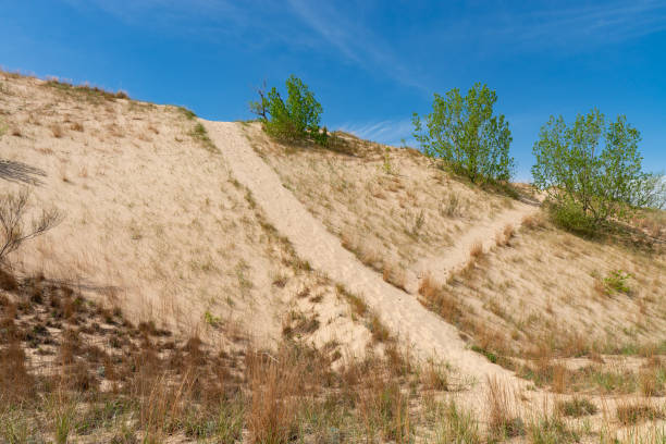 Hiking trail through the sand dunes on a beautiful Spring morning.  Warren Dunes State Park, Michigan, USA.