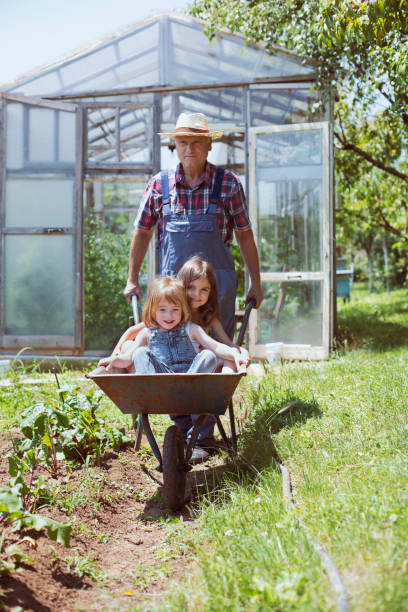 Grandfather and his two happy grandchildren in the farm