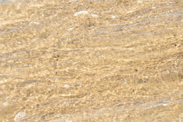 A thin layer of clear water over the sand. A seaside or ecology-themed background with clear sea water over a sandy bottom.