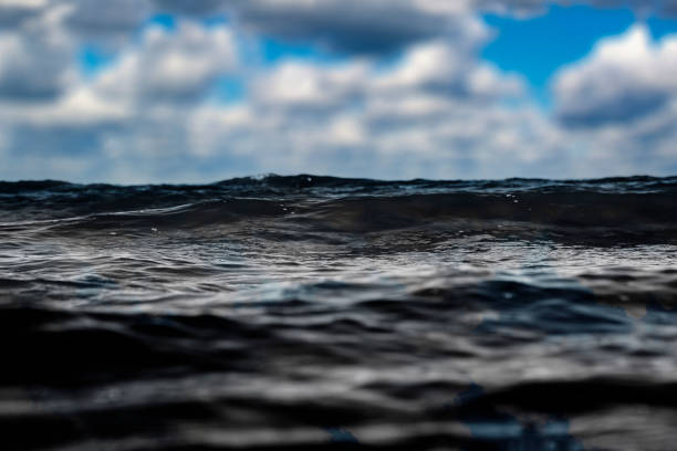 istock Black sea water. Oil contaminated water. 1490714643