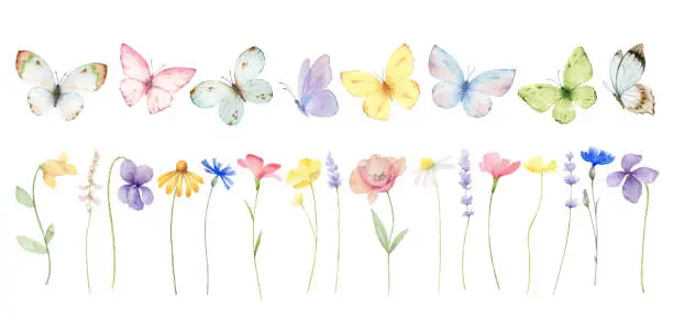 Vector illustration of Watercolor set of meadow flowers and colorful butterflies.  Perfect for the creation of printed products, party invitation, wedding, wallpaper, textiles, digital scrapbooking, greeting cards.