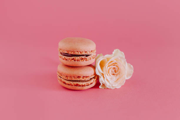 Tasty french macarons with tender rose flowers on a bright pink background. Tasty french macarons with tender rose flowers on a bright pink background. Place for text. bud candy stock pictures, royalty-free photos & images