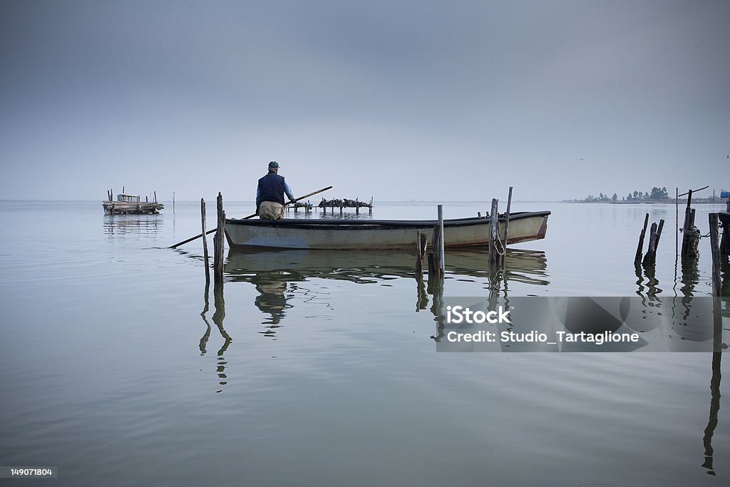 fishing on Lesina lagoon (Gargano) fishing eels is a typical activity on lesina Lake (Puglia): eels are traditional food, specially during Christmas holidays Saltwater Eel Stock Photo