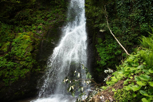 istock Wild and untamed waterfall in a remote wilderness area, water stream falls from above 1490718722