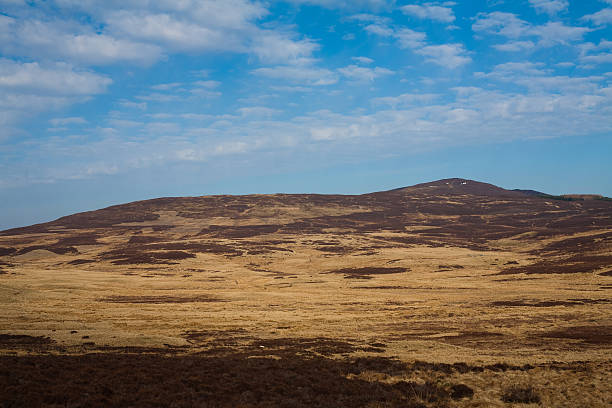 Páramos de Escocia - foto de stock