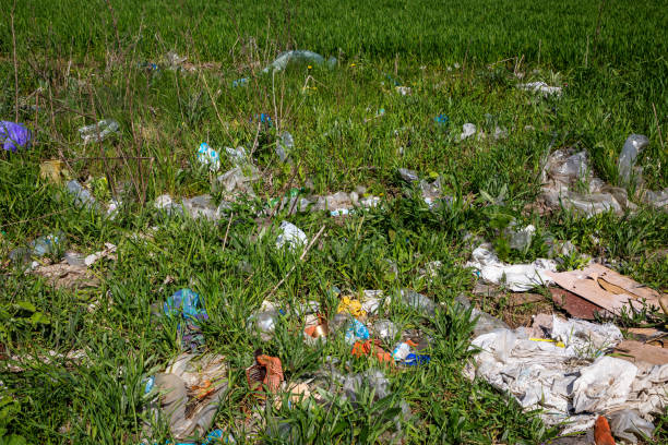 istock An open-air garbage dump that pollutes the earth. 1490727370